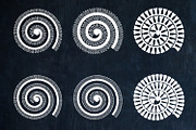Rolled Flower paper template SVG., a Shape Add-On by KundolaArt (Thumbnail 4 of 6)