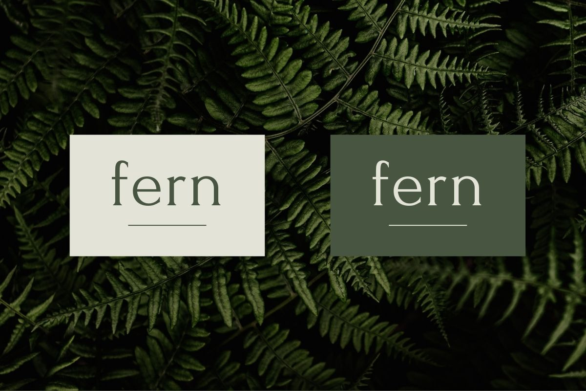 Wellness Natural Holistic Logo, a Branding & Logo Template by CreativeWilderness (Photo 13 of 15)