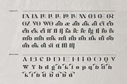 Diella, a Serif Font by Ardyanatypes (Thumbnail 11 of 12)