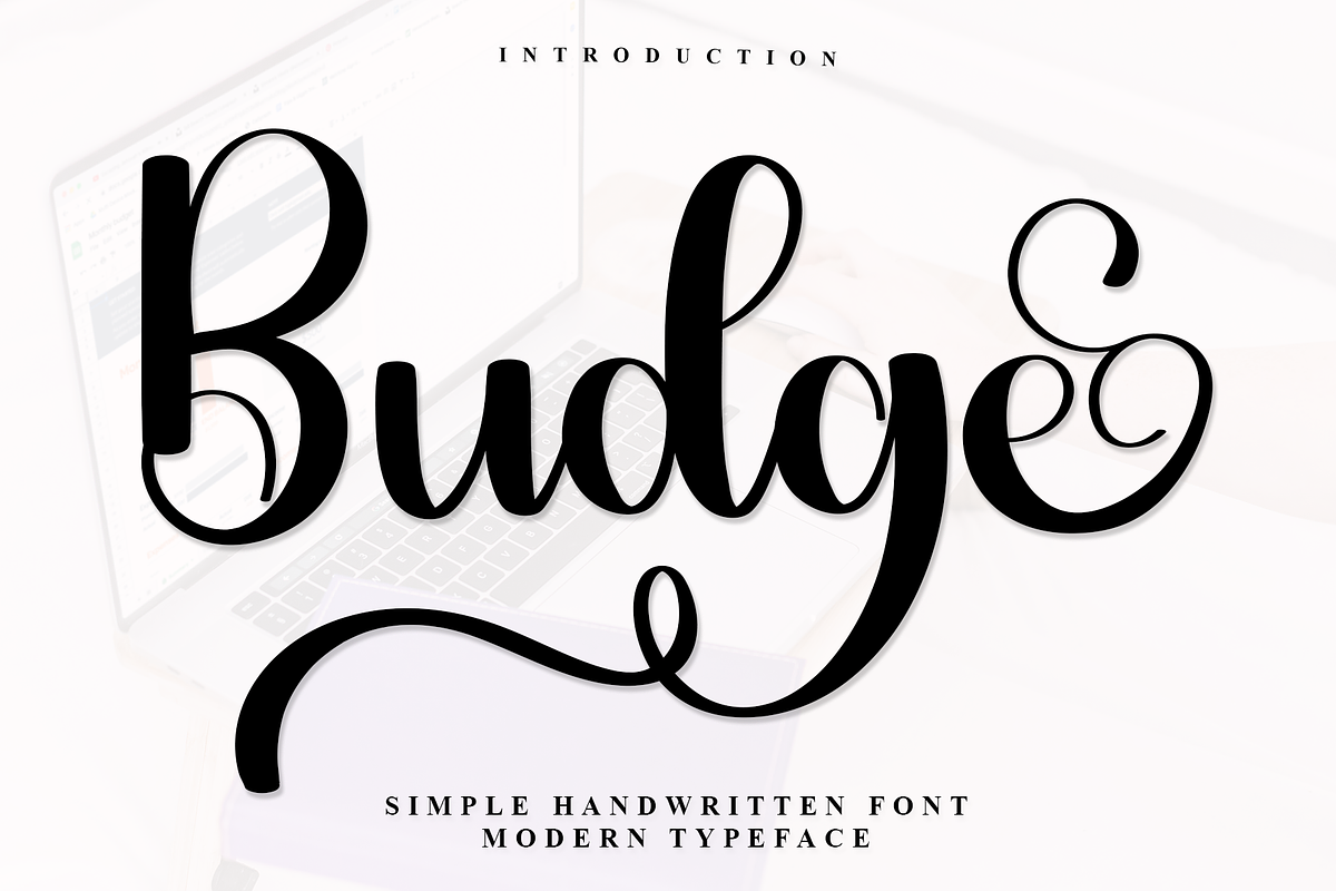 Budge, a Script Font by FreshTypeINK (Photo 1 of 7)