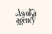 Reteons Elegant Ligature Serif Font, a Serif Font by Perfectype (Thumbnail 4 of 6)