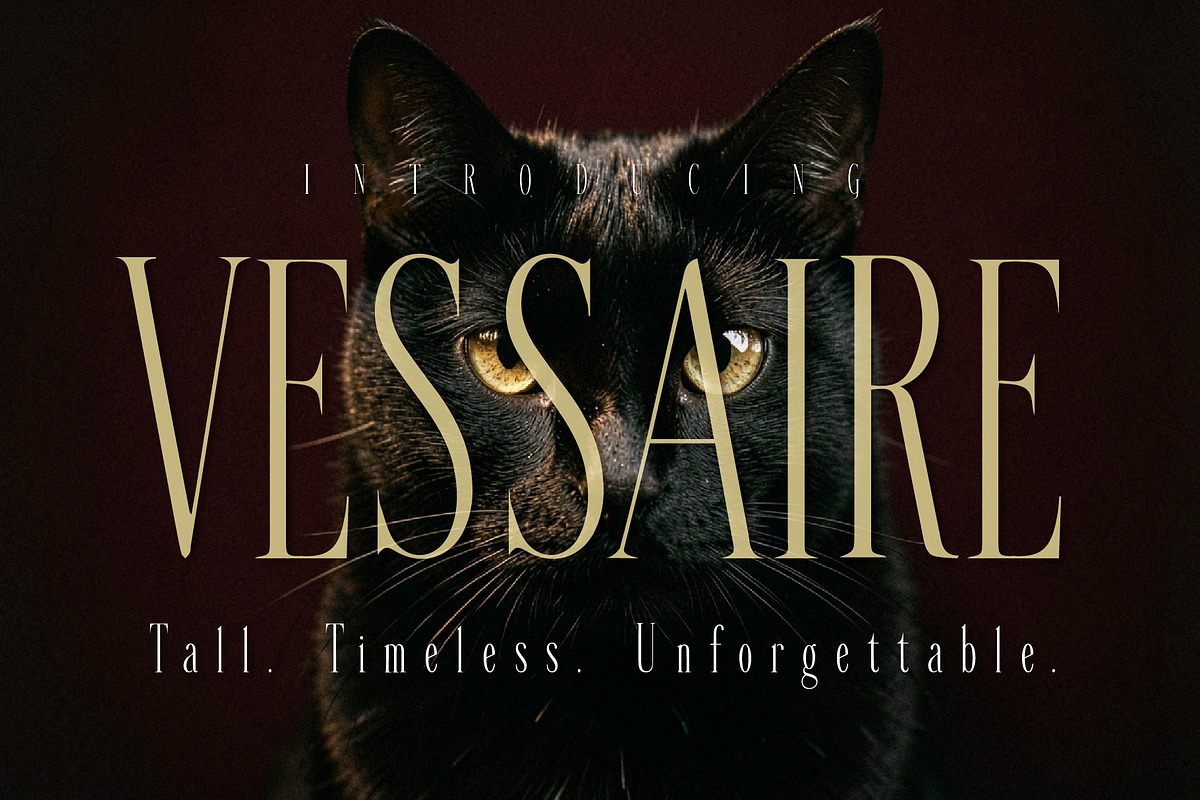 VESSAIRE - Elegant Tall Serif, a Serif Font by HypeWorksCo (Photo 1 of 18)