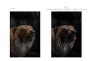 Modern + Moody Lightroom Presets, an Action Add-On by Foto Rx Co. (Thumbnail 6 of 17)