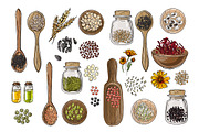 Vector food icons. Spices, nuts, a Food Illustration by irina.vaneeva (Thumbnail 1 of 5)