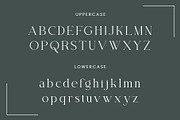 Thoca -New Modern Typface, a Serif Font by AnnofaType (Thumbnail 6 of 8)