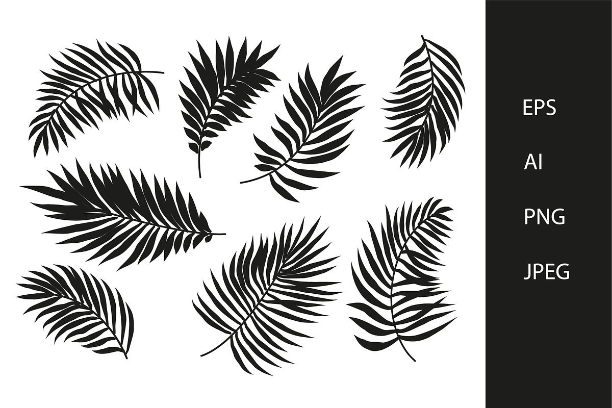 Palm leaves vector set, a Decorative Illustration by MalinaShop (Photo 1 of 3)