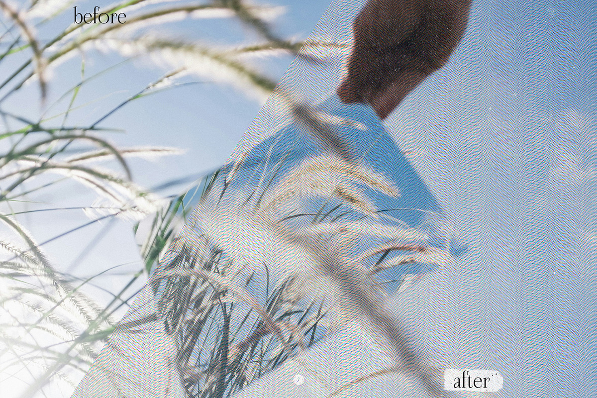 Halftone Magazine Textures, a Texture Graphic by Freezerondigital (Photo 3 of 11)