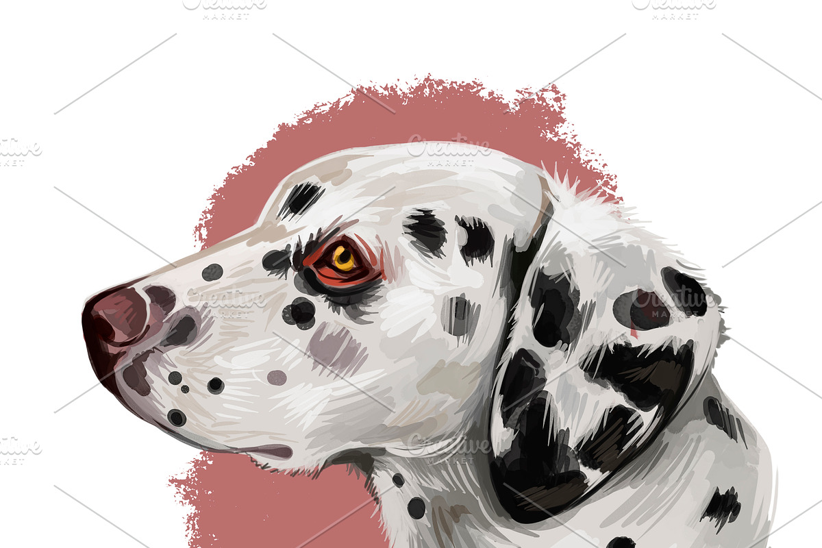 Most Popular Dog Breeds Pet Portrait, an Animal Illustration by Dneprstock (Photo 8 of 23)