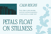 CS Qeisya – Contemporary Font, a Serif Font by Craft Supply Co. (Thumbnail 3 of 8)
