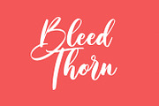 Shineshort Script Font, a Script Font by Maulana Creative (Thumbnail 6 of 8)