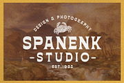 Borensa, a Serif Font by Arterfak Project (Thumbnail 5 of 11)