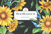 Sunflower watercolour collection., a Decorative Illustration by DamriNa art (Thumbnail 1 of 10)