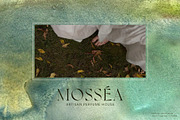 Mossveil · 48 Watercolor Textures, a Texture Graphic by alonahaidash (Thumbnail 6 of 13)