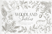 Woodland Sketches Vector Collection, an Animal Illustration by rouxsupplyco (Thumbnail 1 of 19)