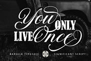 Barsela Calligraphy, a Script Font by Suza Studio (Thumbnail 10 of 12)