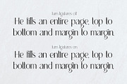Fountainhead- extra light & regular, a Serif Font by Innire (Thumbnail 7 of 7)