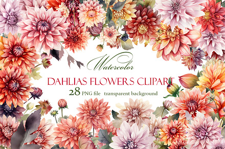 Dahlia flowers clipart, floral clip, a Decorative Illustration by ElenazlataArt