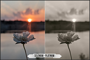 Darkroom Toners - Selenium Split