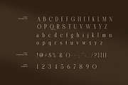 Nadien Elegant Serif Font, a Serif Font by Graphicxell (Thumbnail 7 of 8)