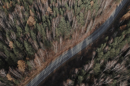 Road between autumn forest in Ural