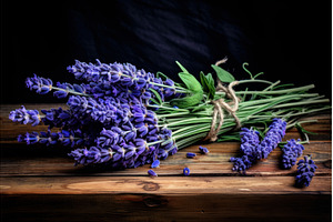 Charming Lavender buds on board, a Nature Photo by Ylivdesign