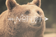 Hawk & Hunter + Extras, a Serif Font by Design Surplus (Thumbnail 2 of 4)