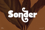 Bardy-Elegant Retro Sans Serif Font, a Sans Serif Font by Flawless And Co (Thumbnail 3 of 11)