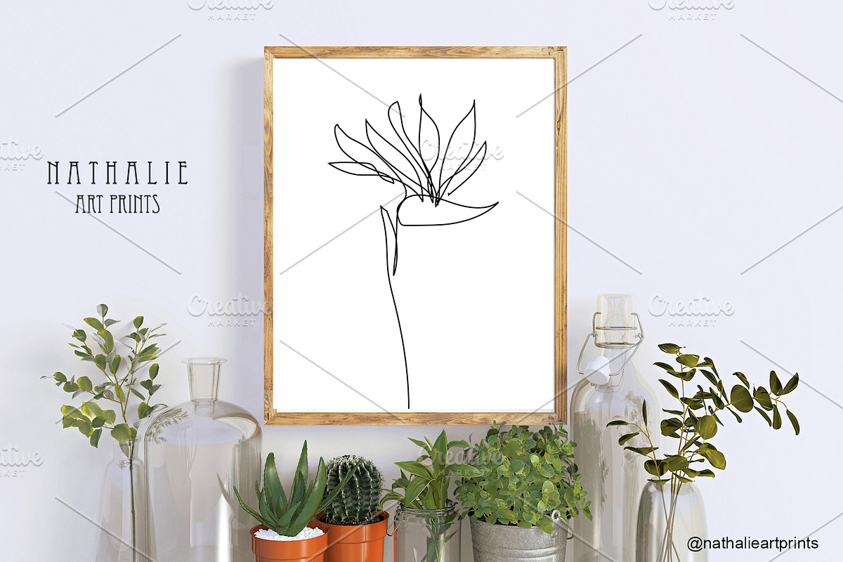 Strelitzia Monstera Digital Prints, a Decorative Illustration by Sunset&Sea Design (Photo 3 of 4)