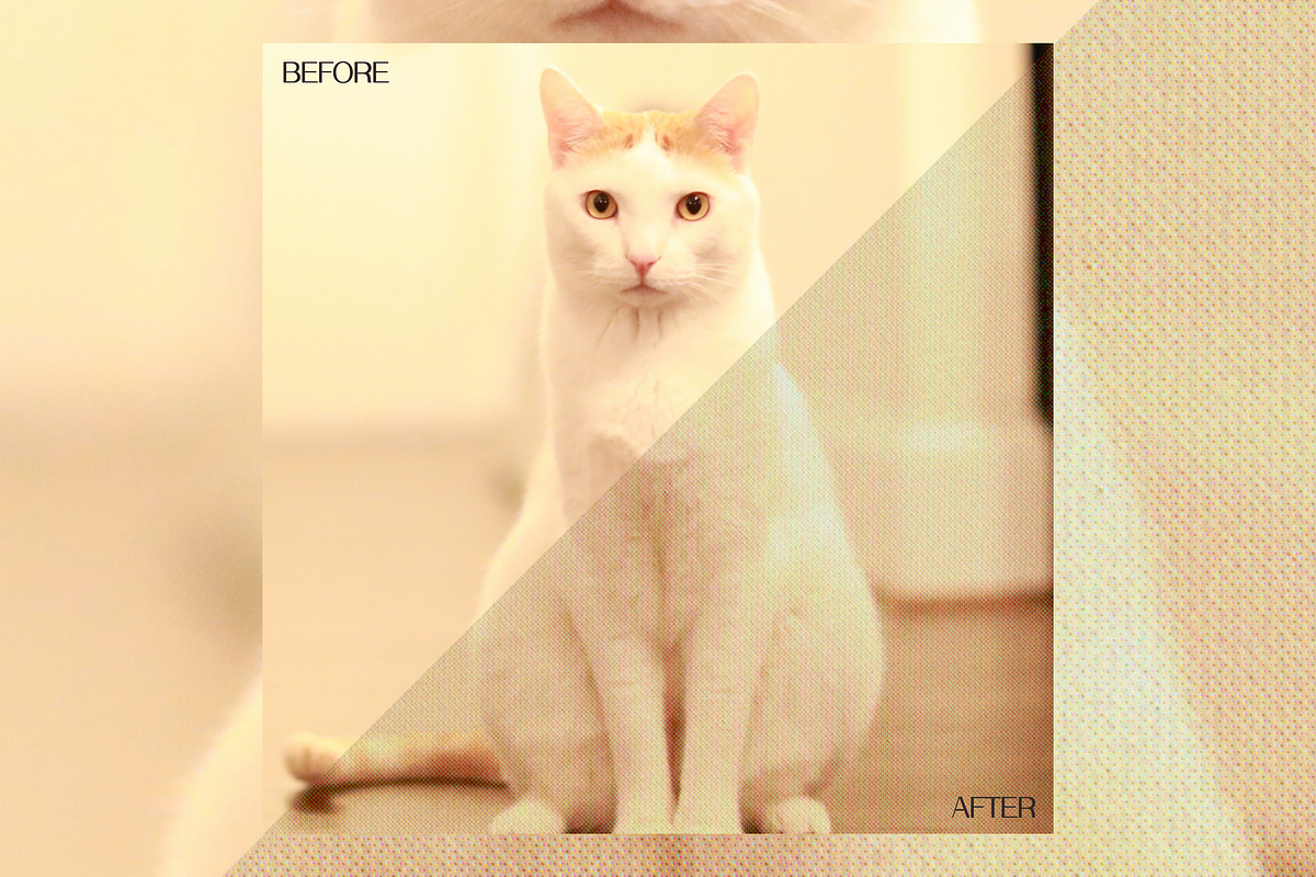 Retro Press Print Effect, a Texture Graphic by Bart Wesolek (Photo 8 of 9)
