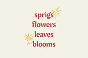 SPRIG: 40 Vector Wildflower Elements, an Object Graphic by Elevens (Thumbnail 3 of 6)