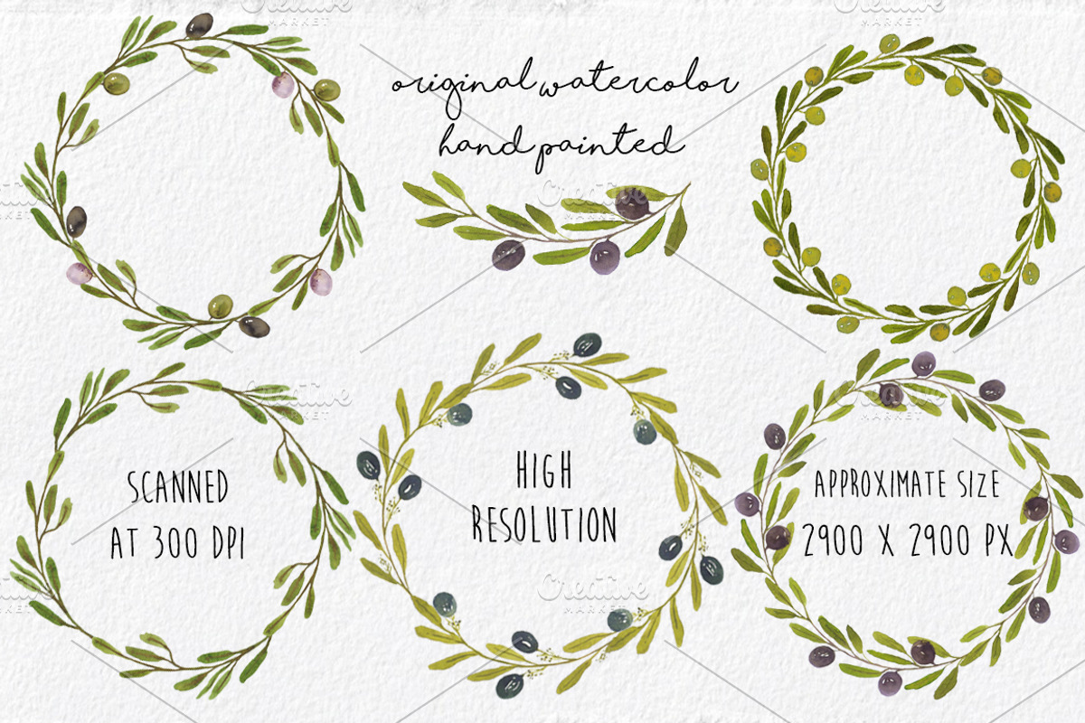 Watercolor Olives Wreaths handmade, an Illustration by MaraquelaStudio (Photo 4 of 6)