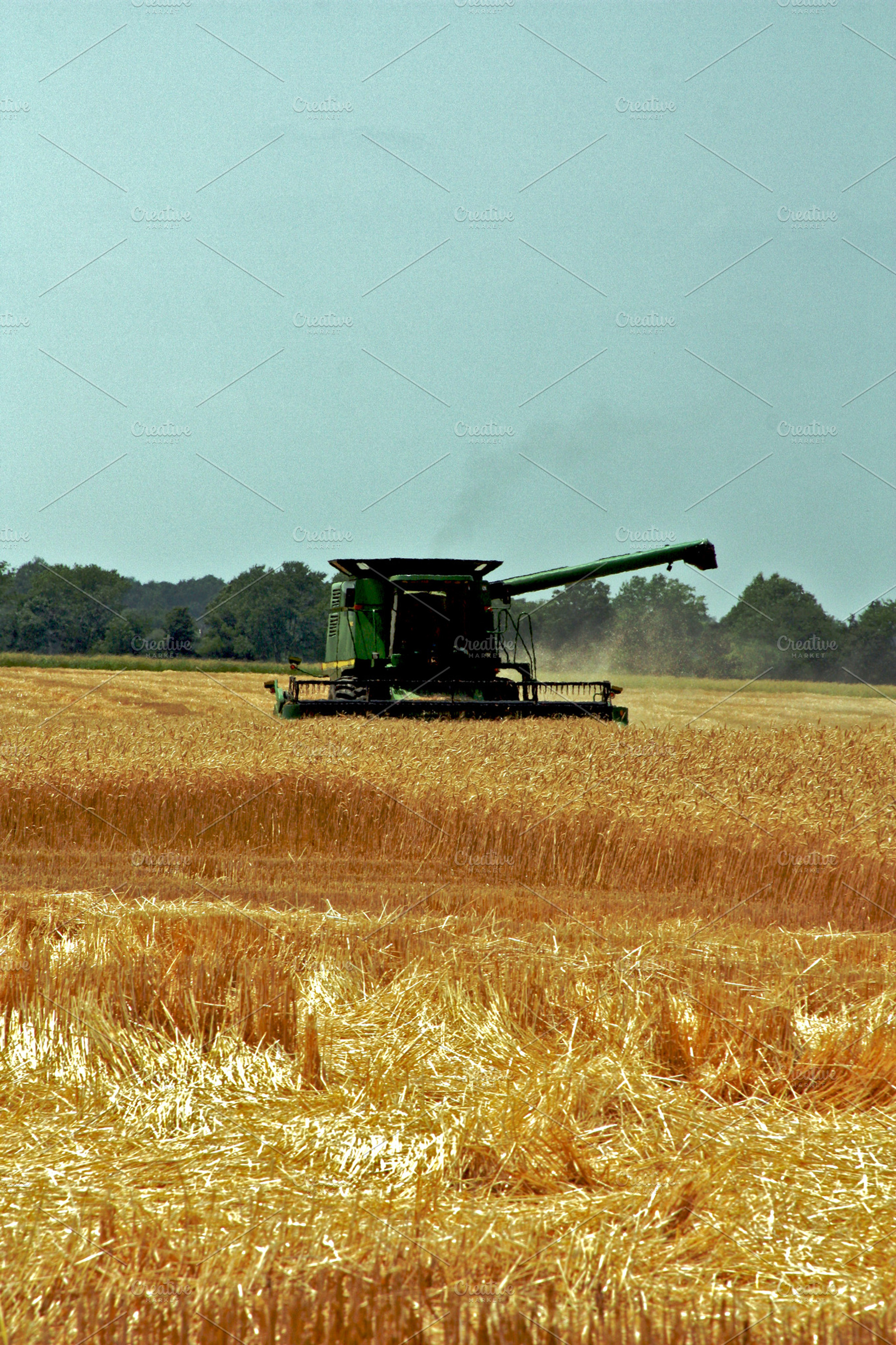 Grain Harvesting