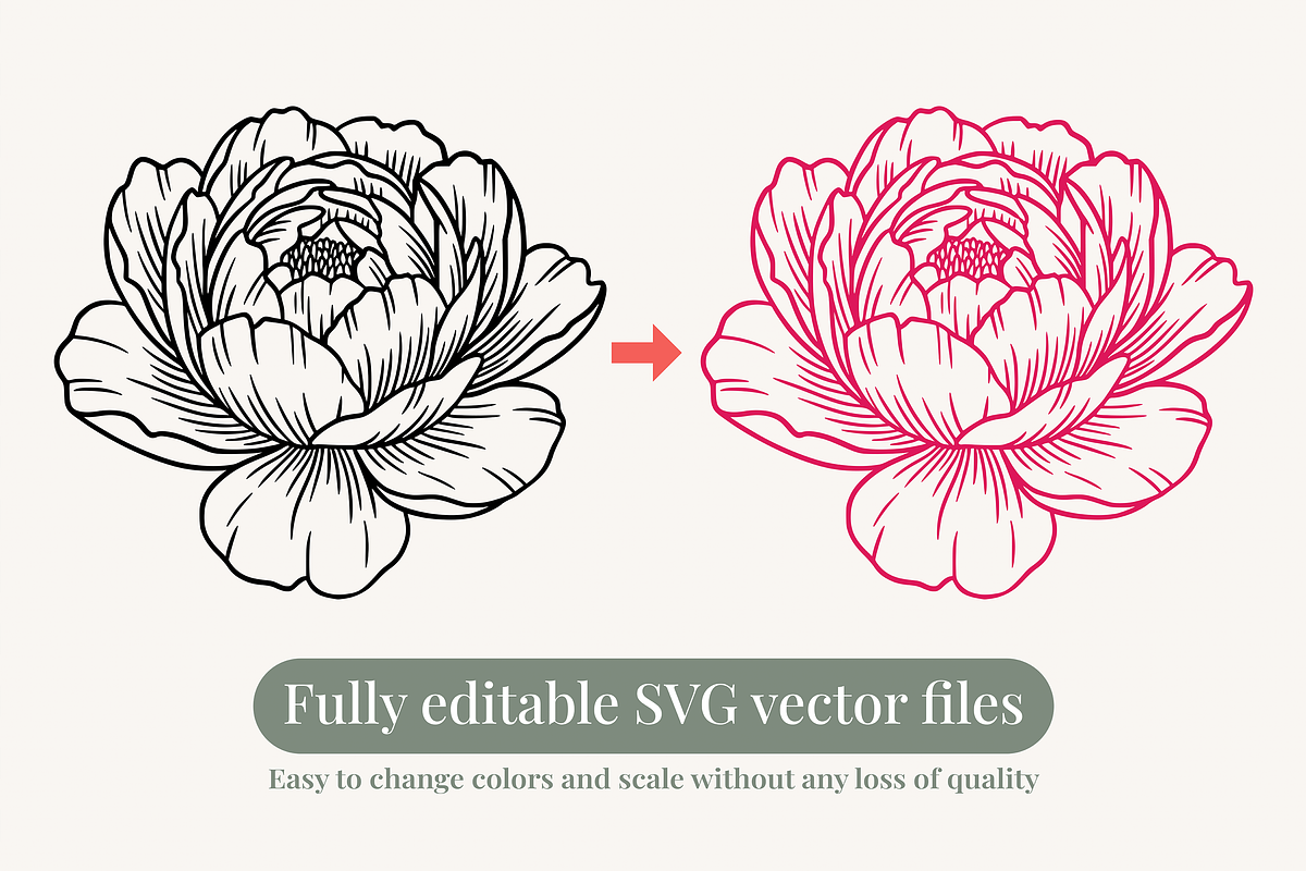 Peony Flower Line Art Illustration, a Decorative Illustration by Kusumaillustration (Photo 10 of 15)