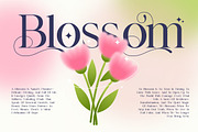 Nokua – Modern Elegant Serif, a Serif Font by Brand Earth (Thumbnail 3 of 7)