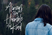 Inspecture Brush Font, a Handwritten Font by Dhan Studio (Thumbnail 2 of 5)