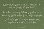 Rue Clementine - curly font, a Handwritten Font by alenaganzhela (Thumbnail 8 of 9)