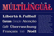 Clastin Variable, a Slab Serif Font by Stripes Studio (Thumbnail 13 of 15)