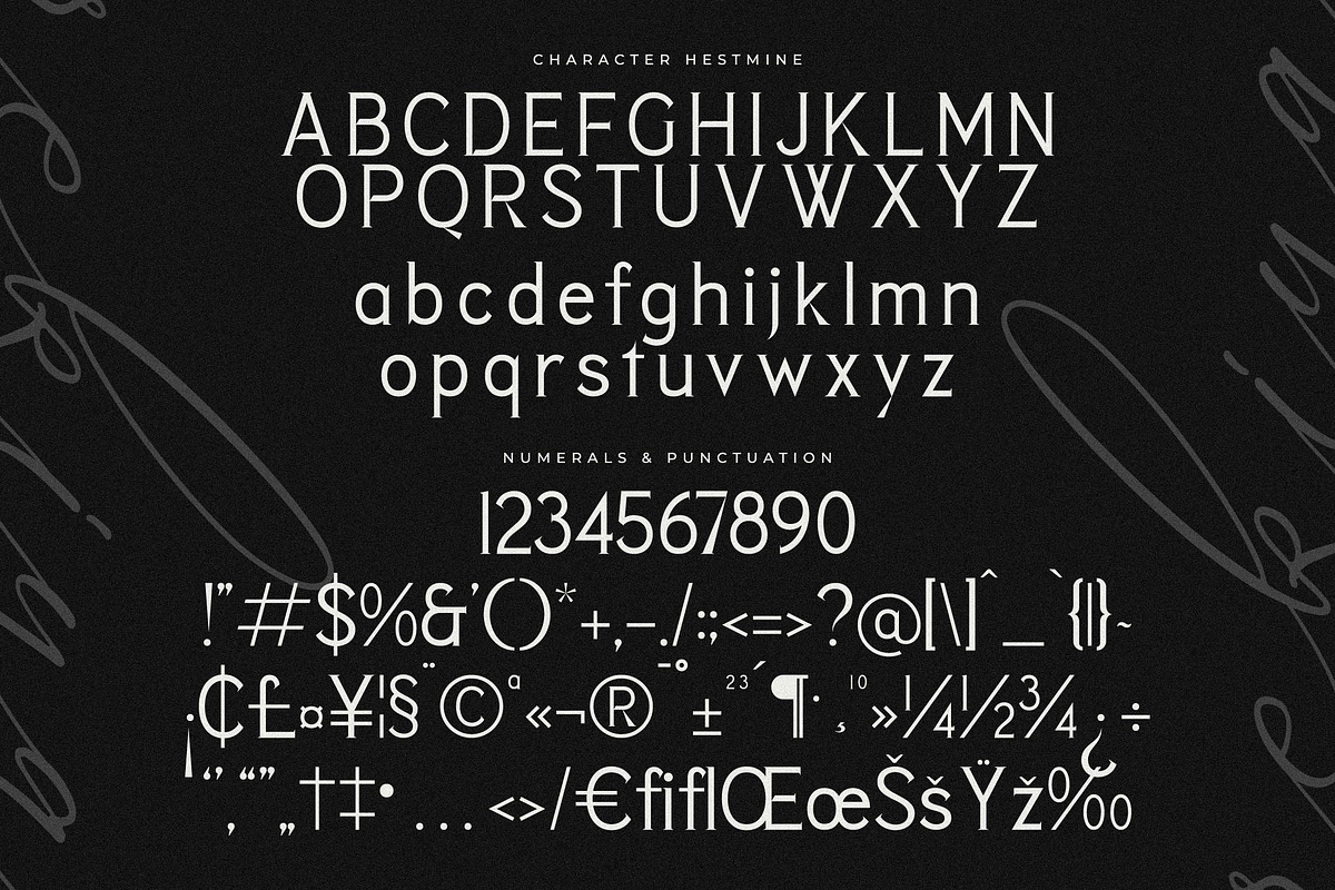 Rekiya Modern Serif Display Font, a Serif Font by Storytype Studio (Photo 11 of 15)