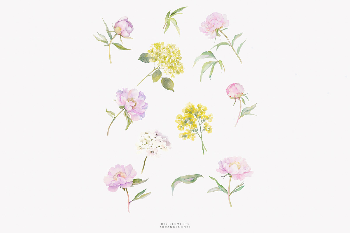 watercolor coquette pink peony set, a Decorative Illustration by Patishop Art (Photo 9 of 10)