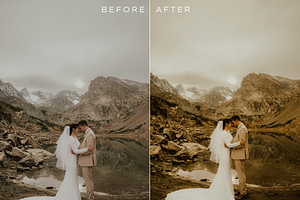 290 Matte Lightroom Presets Bundle