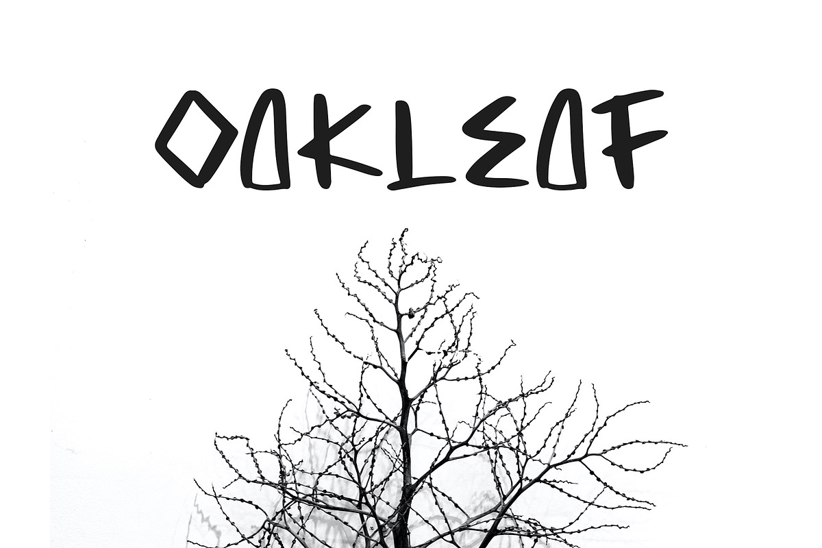 Magalon Unique Display Font, a Sans Serif Font by Giant Design (Photo 4 of 10)