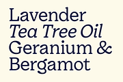 Giorgia - Soft Serif Family, a Serif Font by Fenotype (Thumbnail 13 of 13)