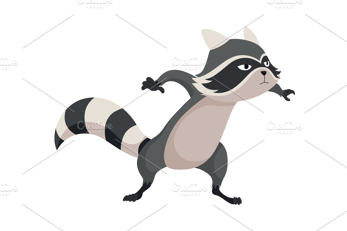 Cartoon raccoon character emotion, an Animal Illustration by the8monkey