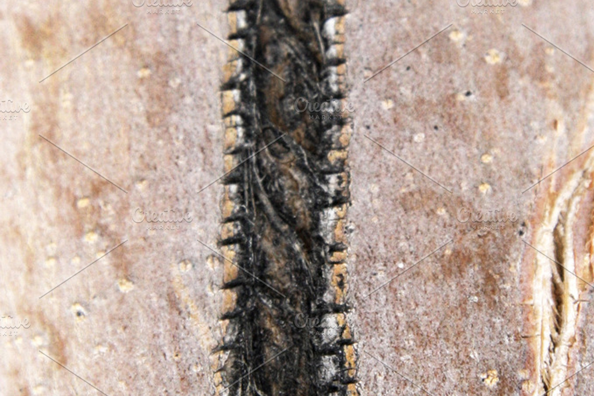 Alphabet Photography Letter I, a Nature Photo by Artistic Letters (Photo 4 of 7)