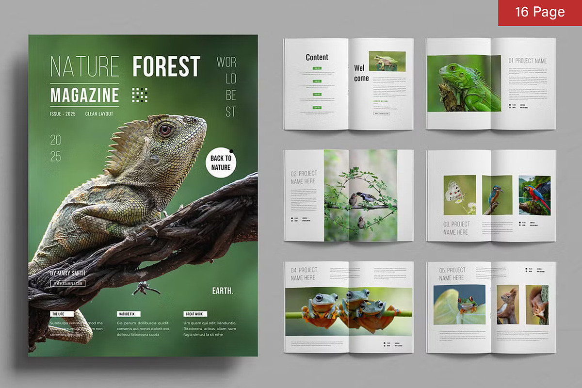 Magazine Bundle preview 5