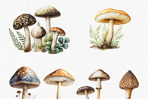 Mushrooms Watercolor Clipart PNG