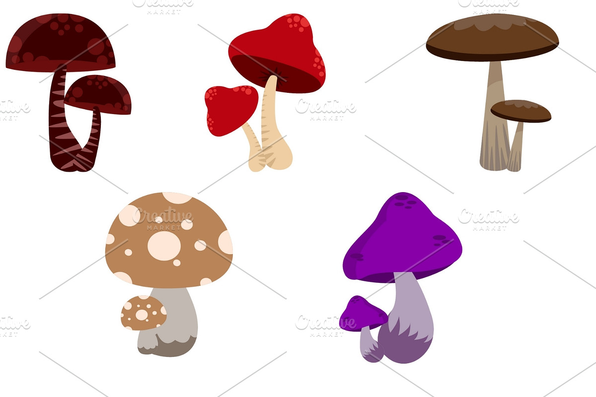 Mushroom Clipart Set, an Illustration by Expose_Adam (Photo 2 of 3)