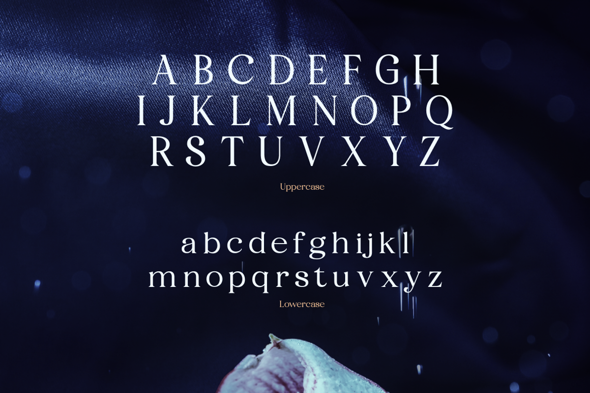 Fyorin Elegance Serif Font, a Serif Font by Rasio Studio (Photo 2 of 11)