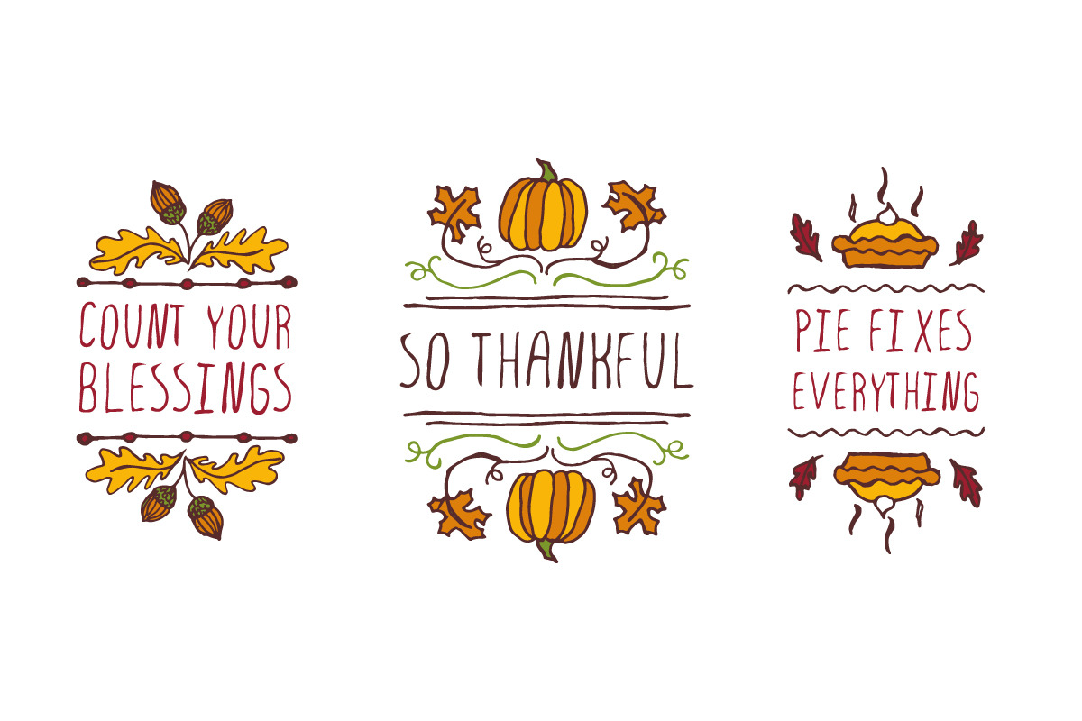 Handdrawn Thanksgiving elements, a Decorative Illustration by AV Design (Photo 4 of 4)