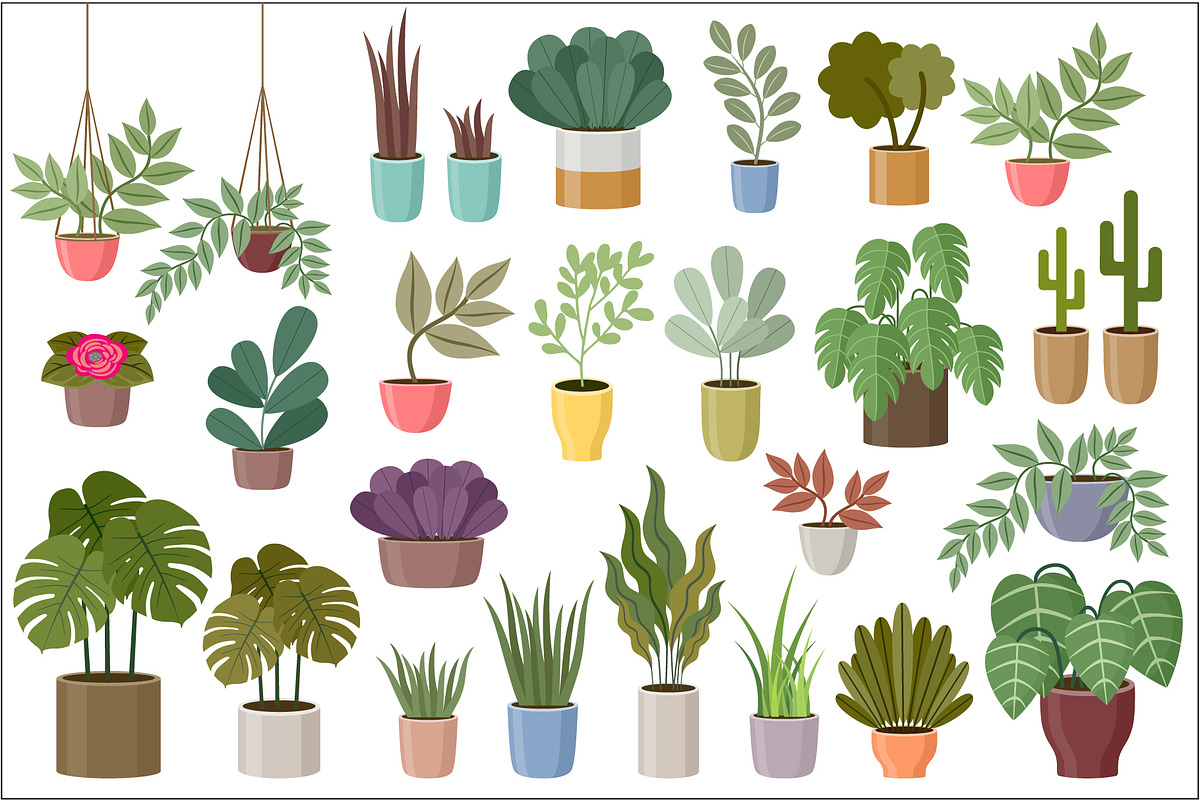 Flower and Home Plant Store, a Decorative Illustration by Gurza SHOP (Photo 3 of 8)